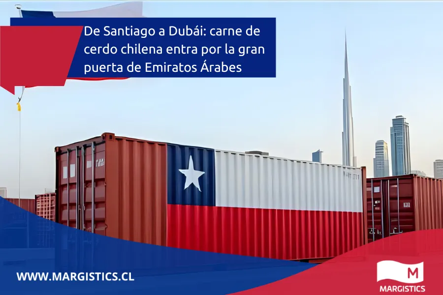 De Santiago a Dubái: carne de cerdo chilena entra por la gran puerta de Emiratos Árabes
