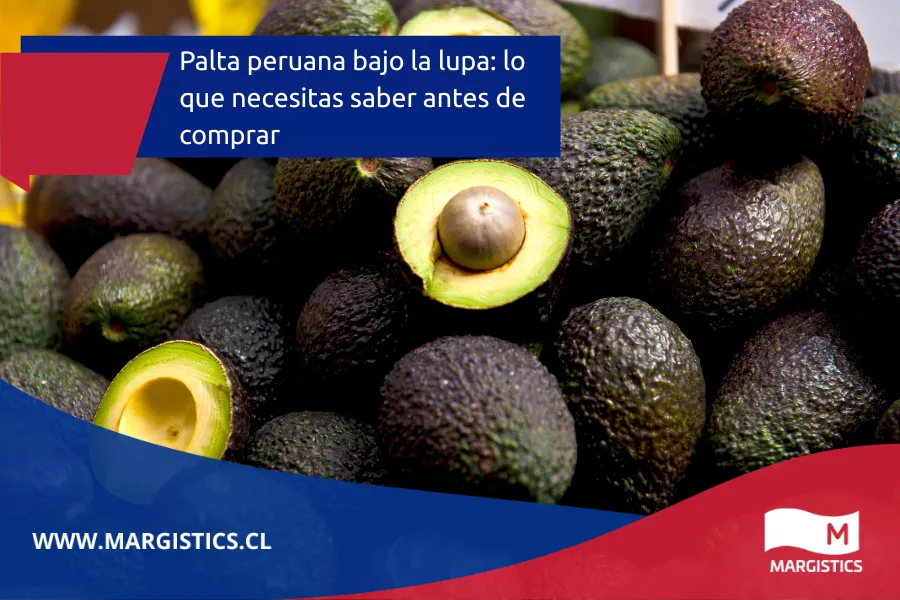Palta peruana bajo la lupa: lo que necesitas saber antes de comprar