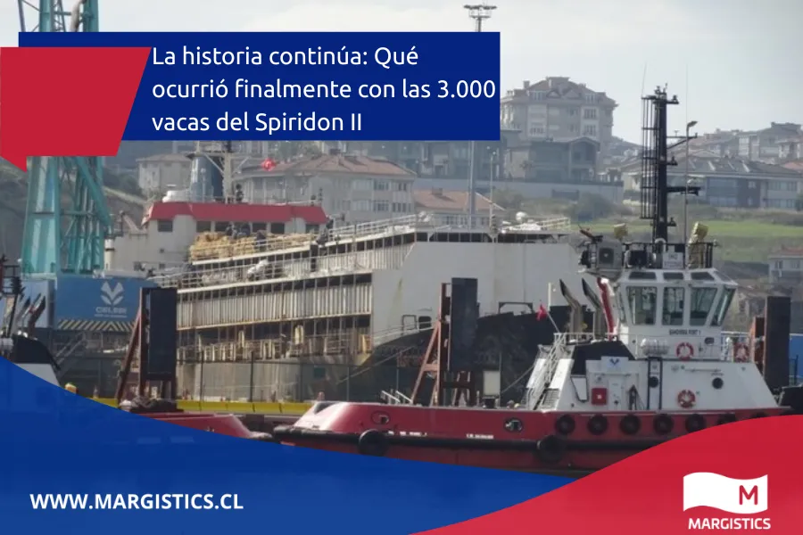 Seguimiento Especial: Qué pasó finalmente con el buque Spiridon II y sus 3.000 vacas uruguayas